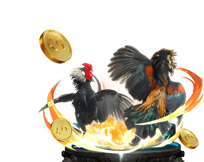 Hướng dẫn cá cược đá gà Bong88